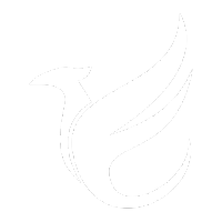 Phoenix Protocol